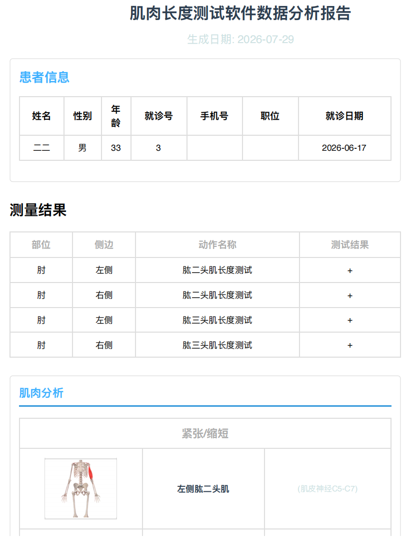 肌肉长度测试数据分析报告
